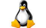 Linux Logo En