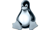 Linux Logo En